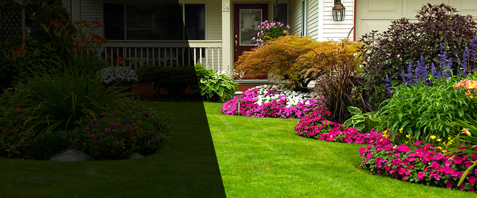 Marion Landscapers