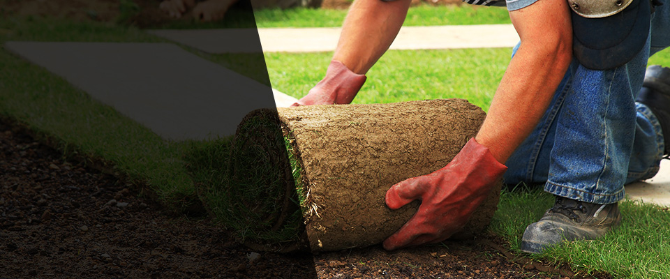Marion Landscapers